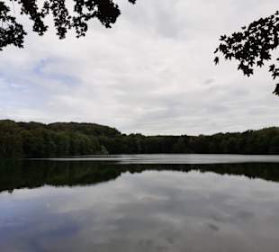 Rensinger See in Kellinghusen