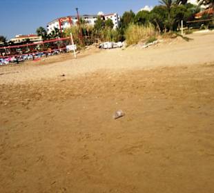 Am Strand entlang Kumköy-Evrenseki-Colakli