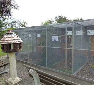 Vogelvoliere Ipthausen