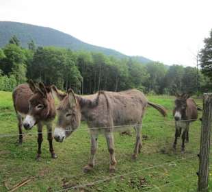 Ferme du Hungerplatz