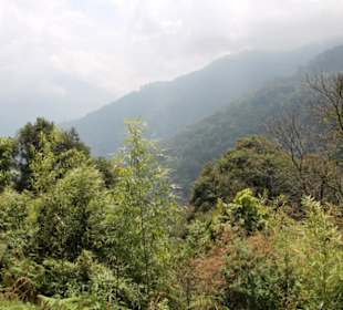 Restaurant Dantak Canteen