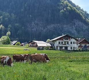 Wandern Fuschl am See