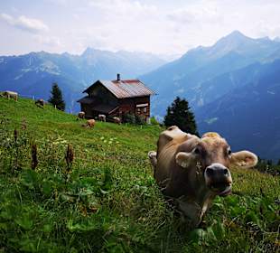 Wandern Hintertux/Zillertal