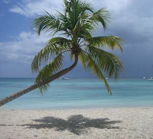 Saona Deluxe Katamaran Tour