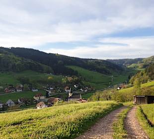 Wandern Biberach (Baden)