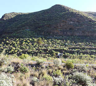 Höhlen im Vulkangestein