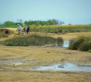 Strand von Bibione 06-2010