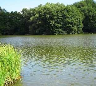 Impressionen vom Echternacher See