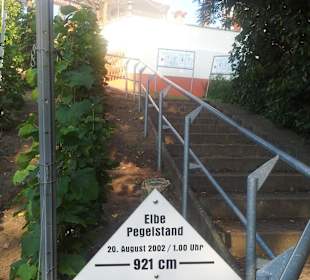 Höchster Pegelstand der Elbe