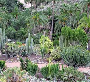 We władaniu przyrody