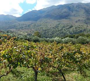 Umgebung Kournas See