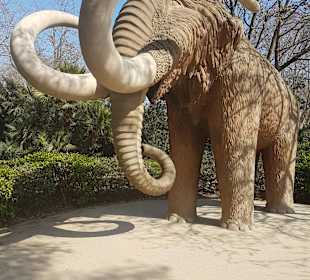 Mamut
