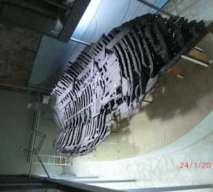 Im Schiffswrackmuseum