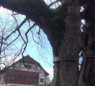 Ergat Dorfplatz Mittelzell