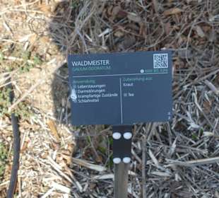 Hinweistafel zum eingepflanzten Kraut