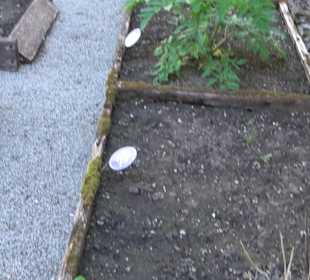 Kräutergarten Blaubeuren