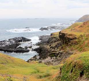 Westküste - bei The Nobbies