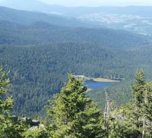 Bei unserer Wanderung zum / am Kleinen Arber