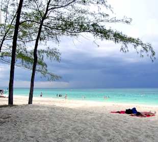 Bamboo Island