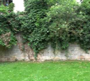 Zwinger