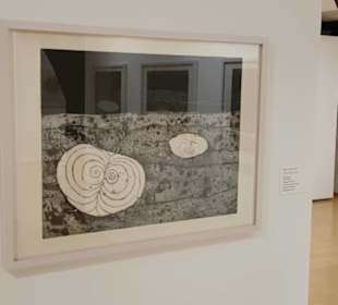 Kunstmuseum Spendhaus