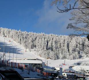 Winterimpressionen vom Arber