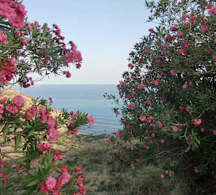 Aussichten Costa Rei