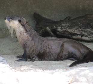San Diego Zoo