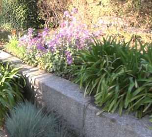 Real Jardín Botánico de Madrid