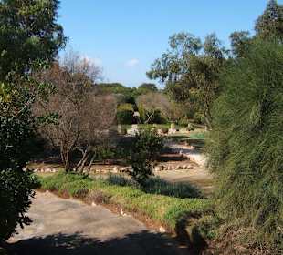 Botanikaktus - Blick vom Eingang