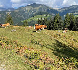 Wandern Lesachtal