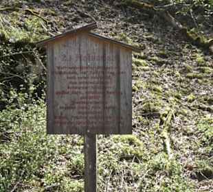 Waldlehrpfad an der Lauter