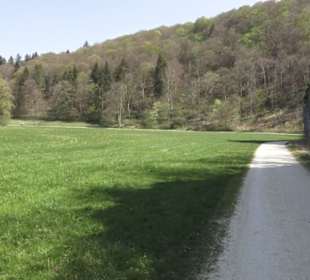 Waldlehrpfad an der Lauter