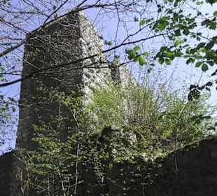 Ruine Maisenburg