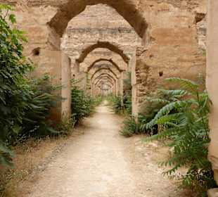 A little overgrown now