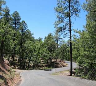 Fahrt zu den Gila Cliff Dwellings
