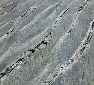 Fossilien I