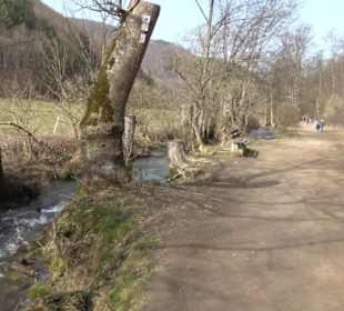Wasserfallsteig