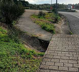 Der Weg ist das Ziel