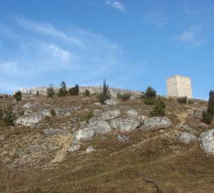 Ruiny Zamku w Olsztynie