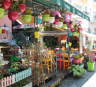 Skadarlija Blumen und Kneipen 