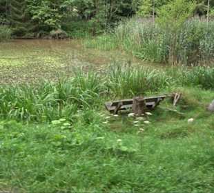 Waldsee Grottenloch Rübgarten