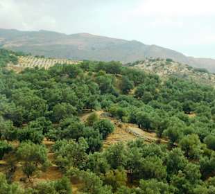 Inselrundfahrt Kreta