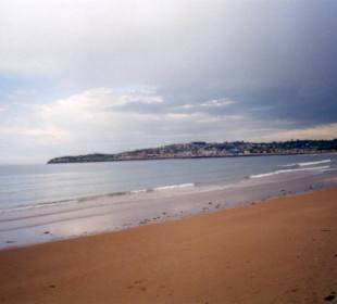 Visde la playa