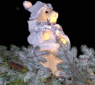 Stuttgarter Weihnachtsmarkt - 29