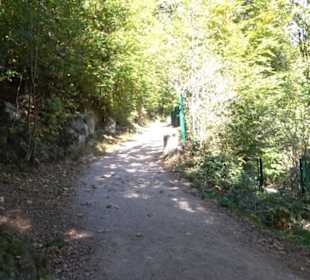 Natur-Hochseilgarten Triberg