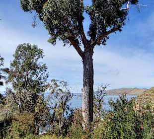 Wandern Isla del Sol