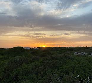 Wandern Son Xoriguer