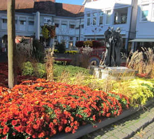 Chrysanthema Lahr