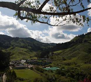 Malownicze widoki na plantacje herbaty